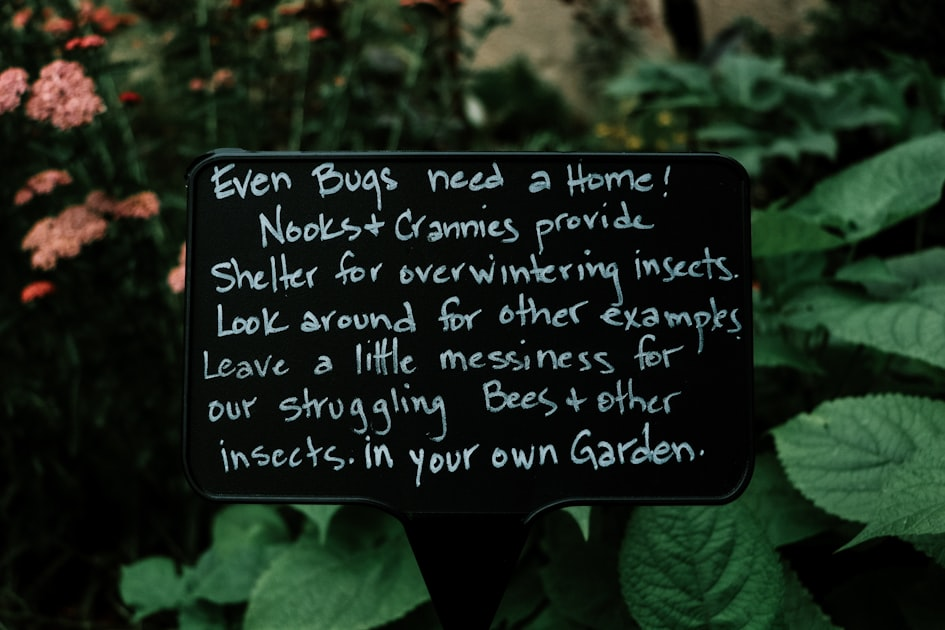 Top Eco-Friendly Pest Control Solutions